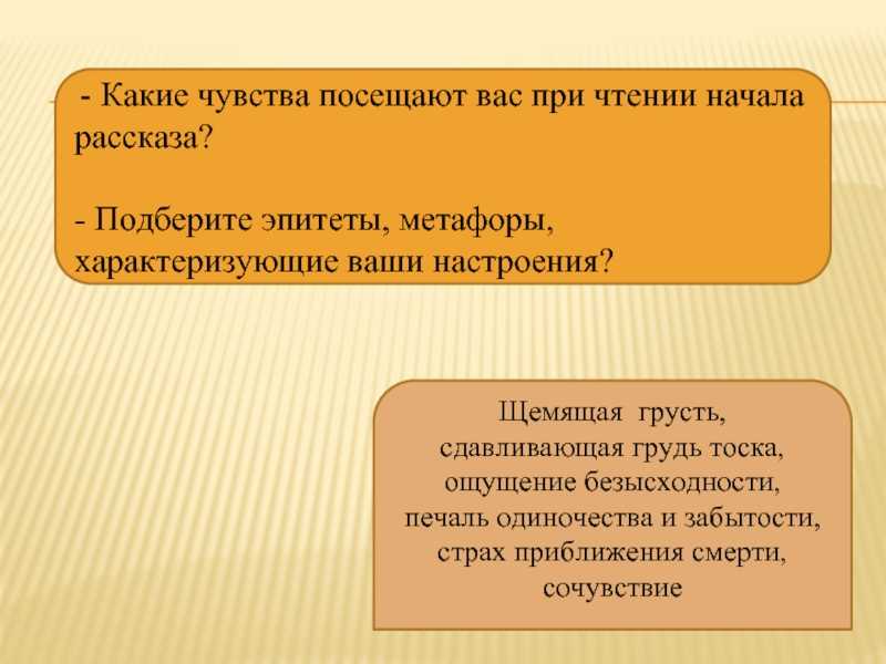 "старый повар" - краткое содержание рассказа к.г. пауствоского