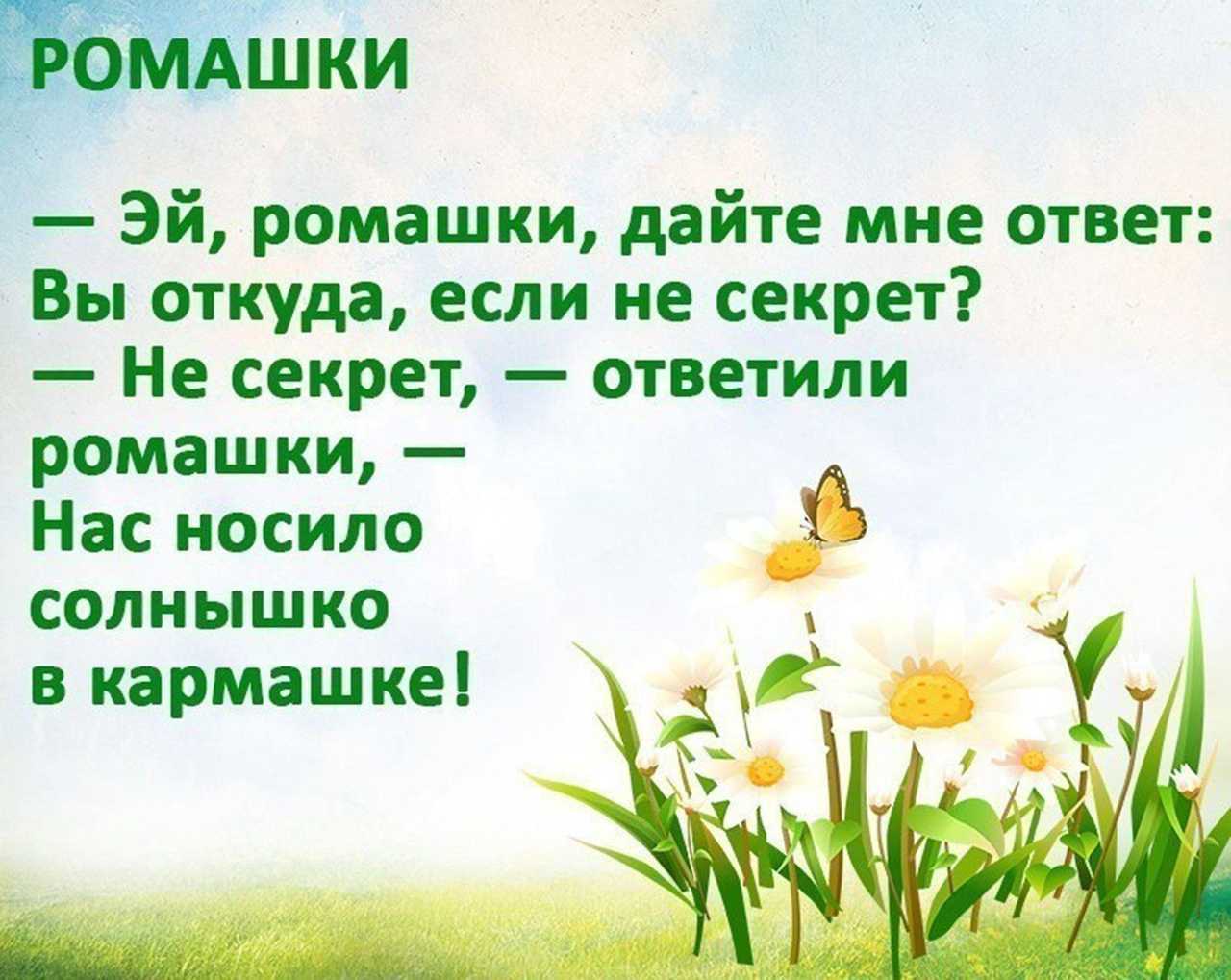 Стихотворения про цветы для дошкольников