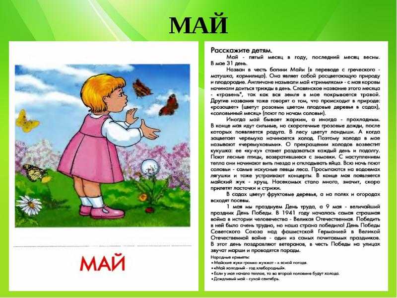 Загадки с ответами про лето для детей 5-6-7 лет
