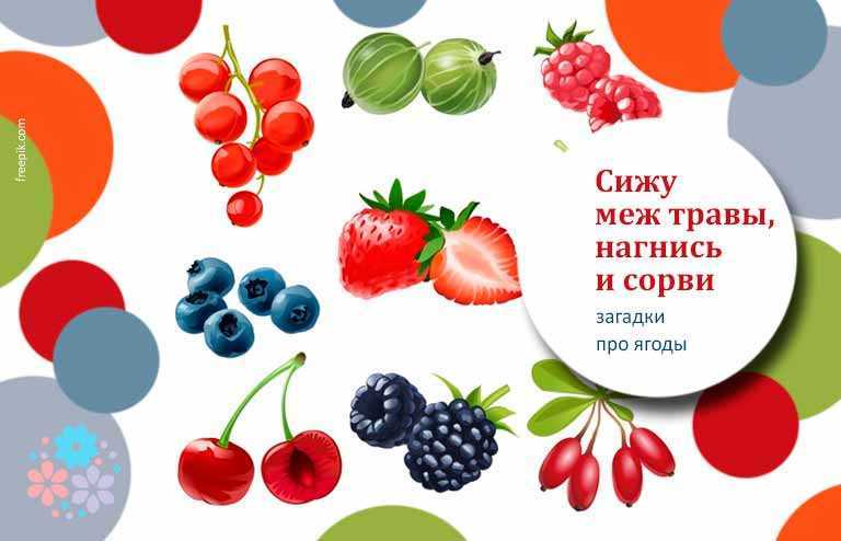 Загадки про лесные деревья, грибы, ягоды с ответами для школьников