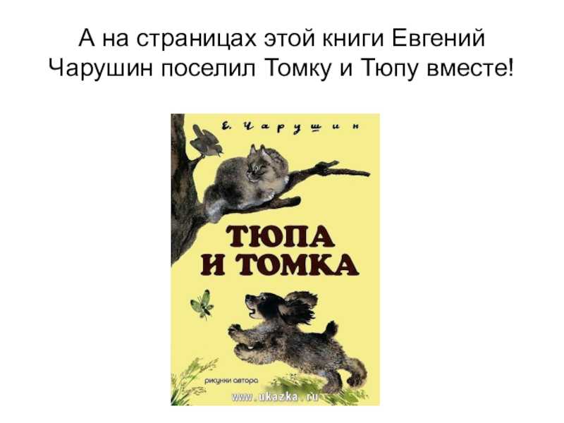 Рассказ  автора: евгений иванович чарушин  — «про томку». читать текст онлайн , с картинками . можно распечатать, бесплатно, полный текст.