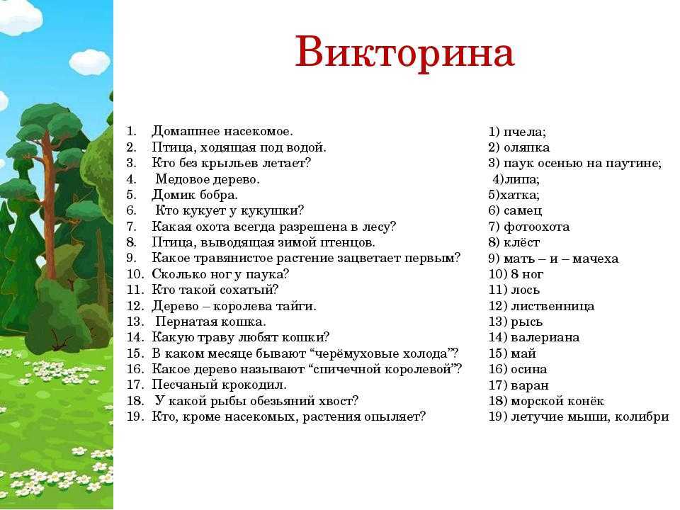 Загадки для дошкольников с ответами