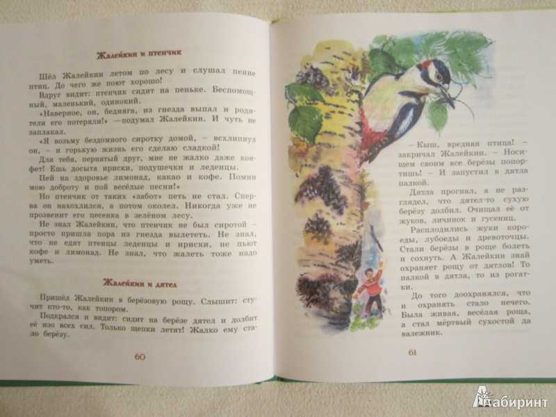 Читать сказку лесные сказки - сладков н.