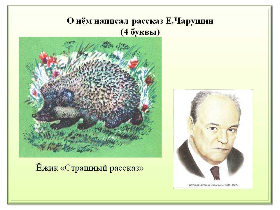 Читательский дневник «страшный рассказ» евгения чарушина