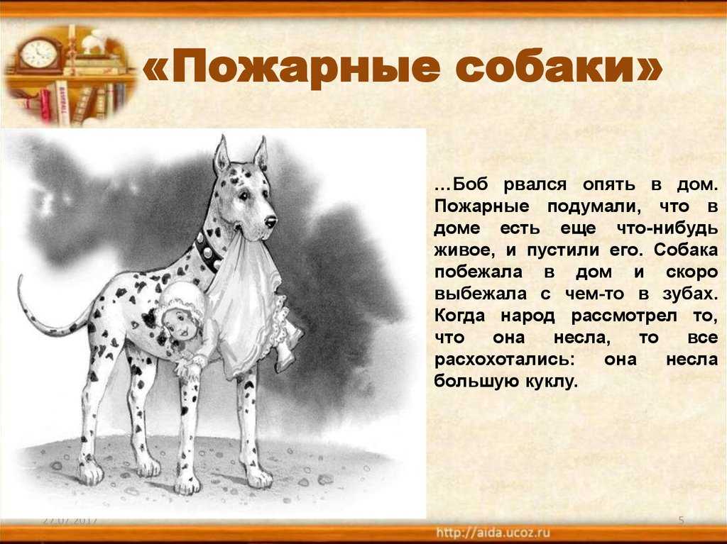 Книга пожарные собаки - читать онлайн - страница 1. автор: толстой лев николаевич. все книги бесплатно