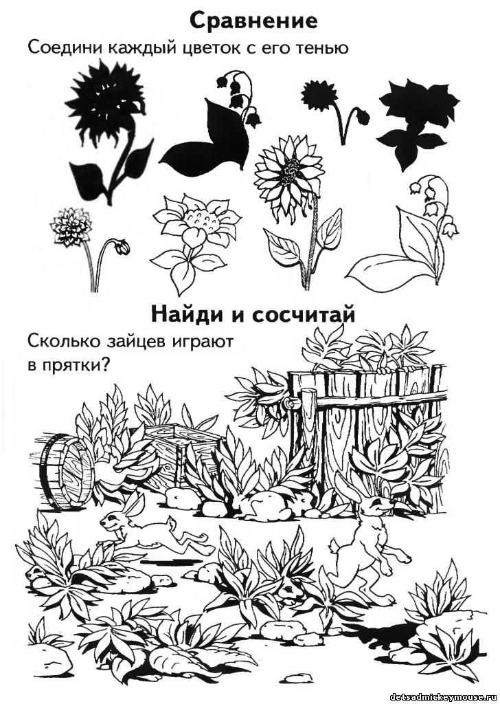 Загадки про цветы