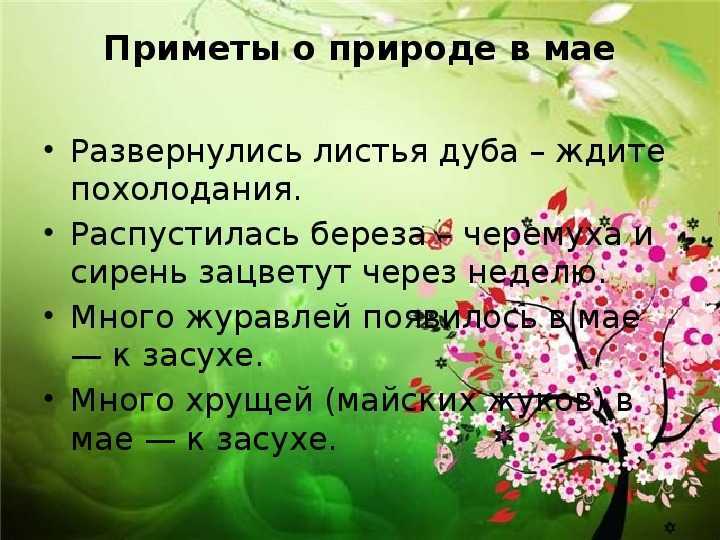 Загадки про весну для детей: 160 загадок с ответами для дошкольников и учеников 1, 2, 3 классов / mama66.ru