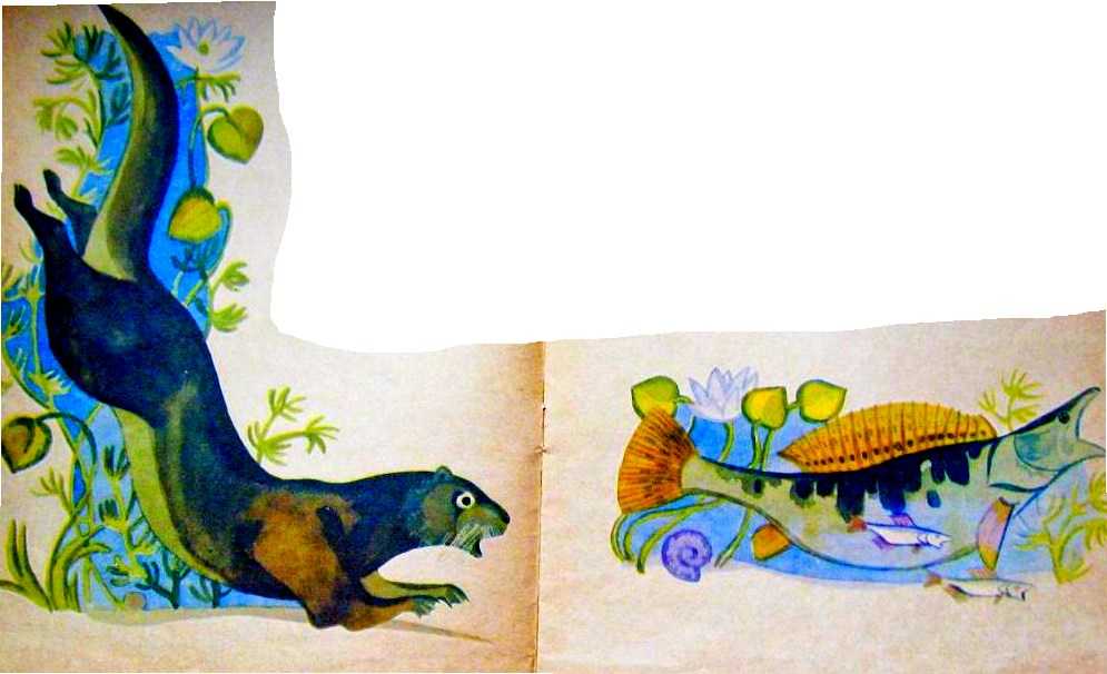 Почему рыбы молчат 🐟 заходер б.в.