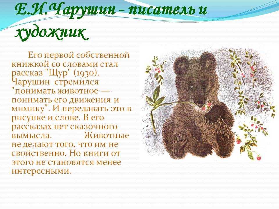 Цапля - чарушин е.и. рассказ про птиц в зоопарке.