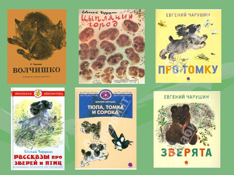 Про томку — е. чарушин рассказы про собаку
