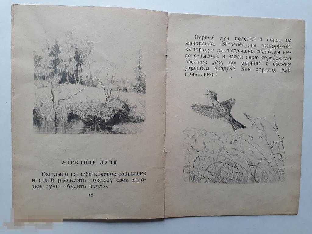Утренние лучи скачать epub, fb2 книгу ушинский константин дмитриевич, читать онлайн