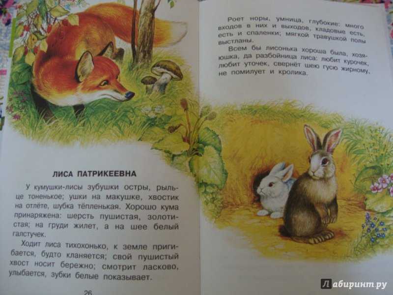 Короткие рассказы для детей. ушинский к. д.