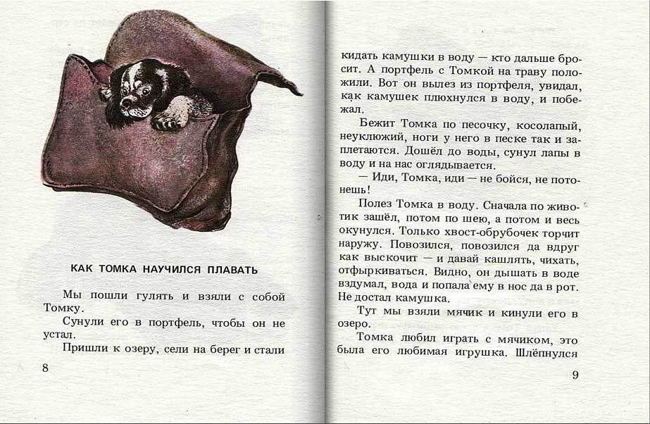 Про что рассказ томкины сны