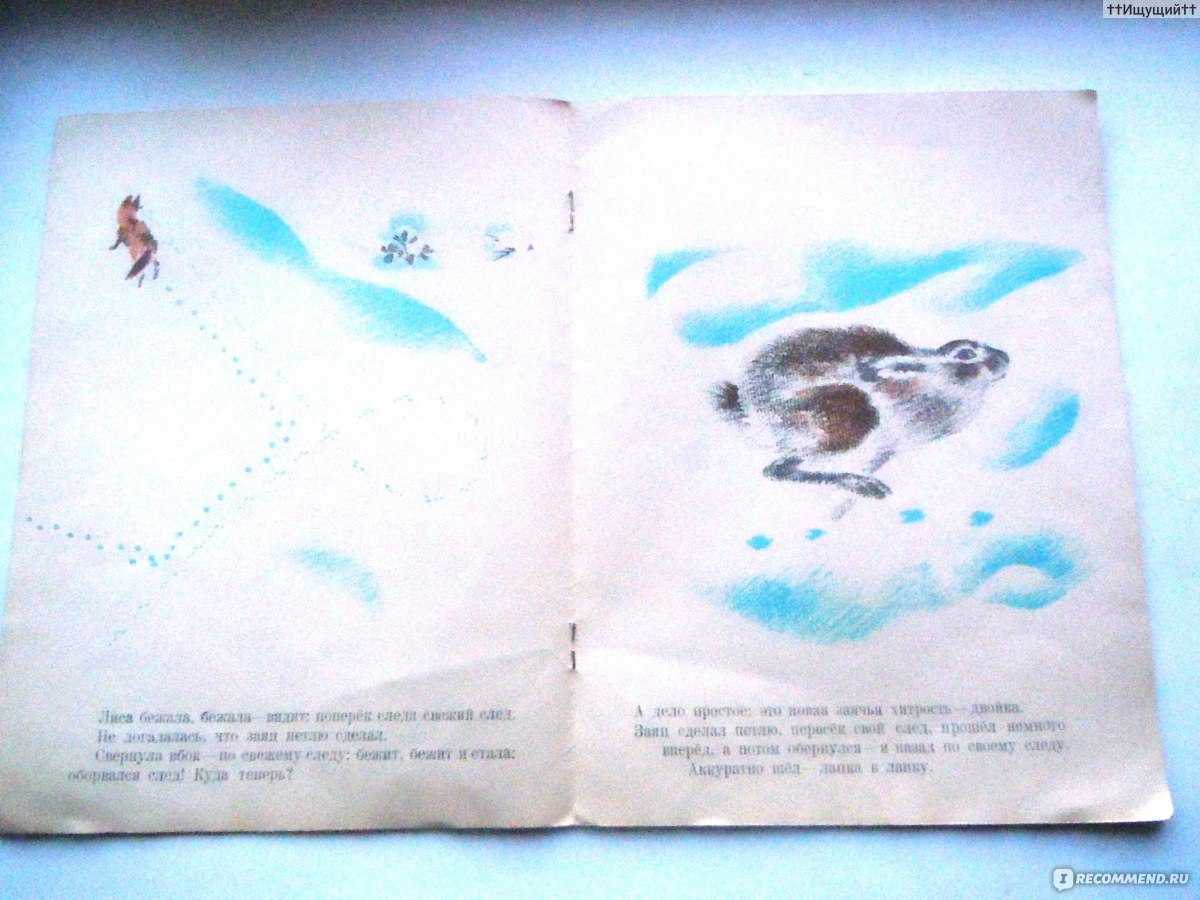 Снежная книга — рассказ виталия бианки