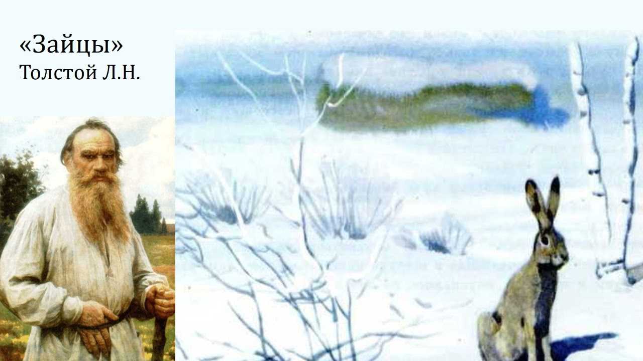 Лев толстой зайцы читать. зайцы