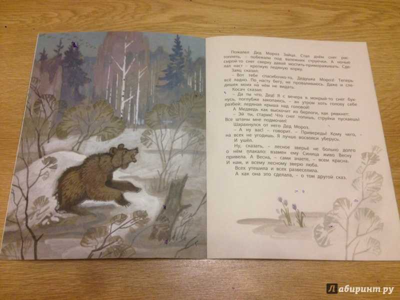 Виталий бианки: заяц, косач, медведь и дед мороз