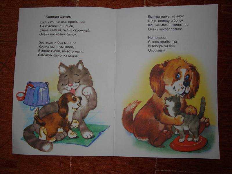 Котенок хочет в школу берестов