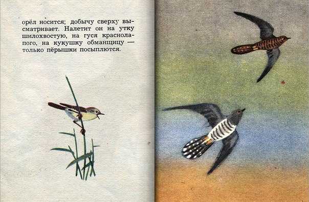 Ушинский «ласточка» читать текст