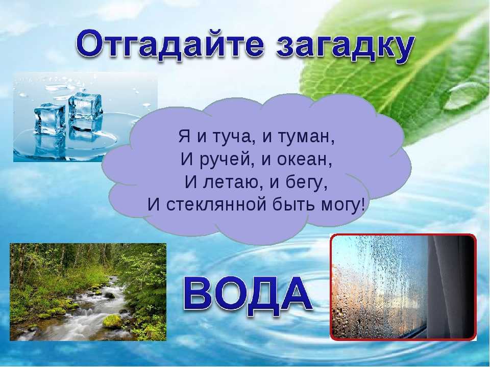 Загадки для детей 5-6-7 лет с ответами