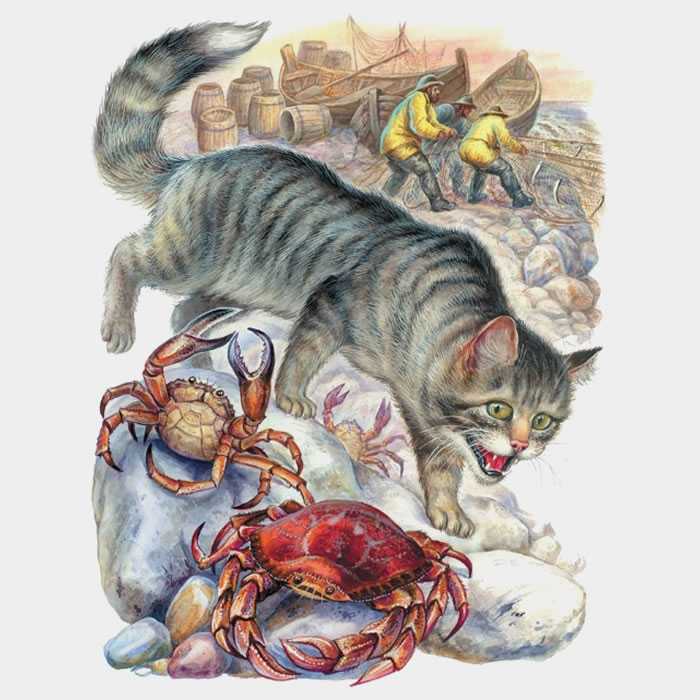 Беспризорная кошка — борис житков — читать рассказ онлайн
