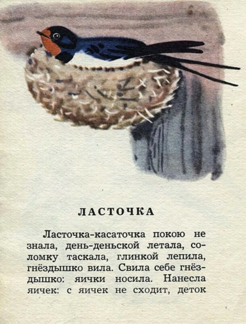 Ласточка — читать с картинками — ушинский константин
