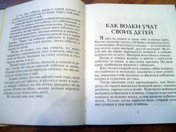 Как волки учат своих детей толстой тема рассказа