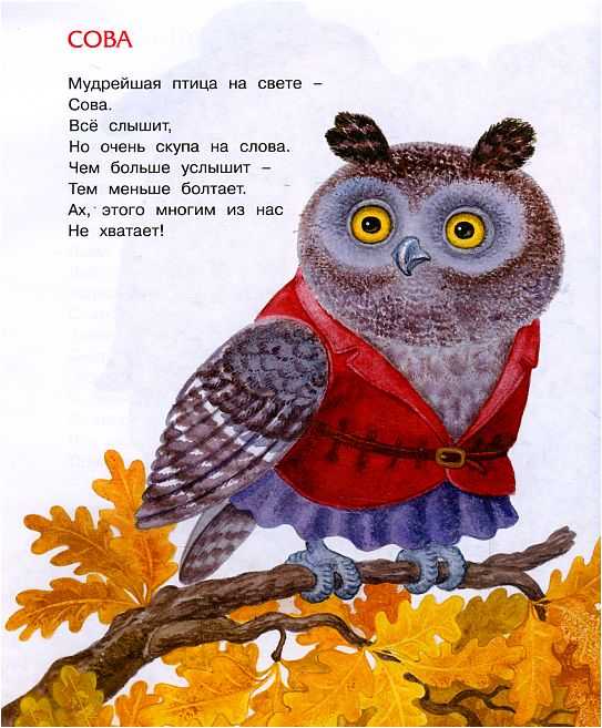 Мохнатая азбука — заходер. полный текст стихотворения