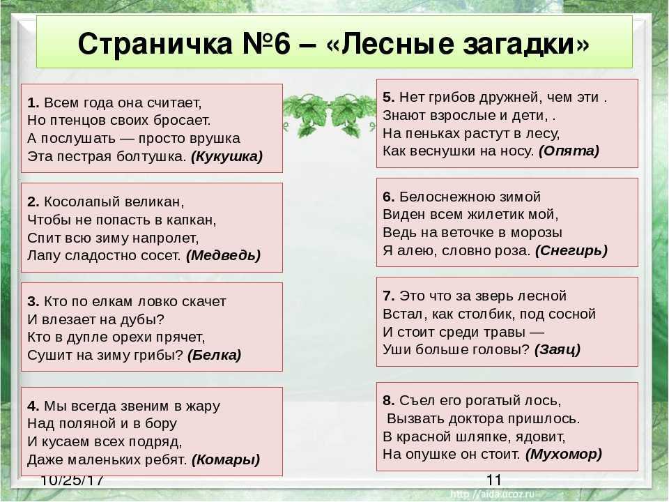 Загадки про лес для детей 3-4, 5-6, 7-8 лет, а также викторина Загадки леса про его обитателей