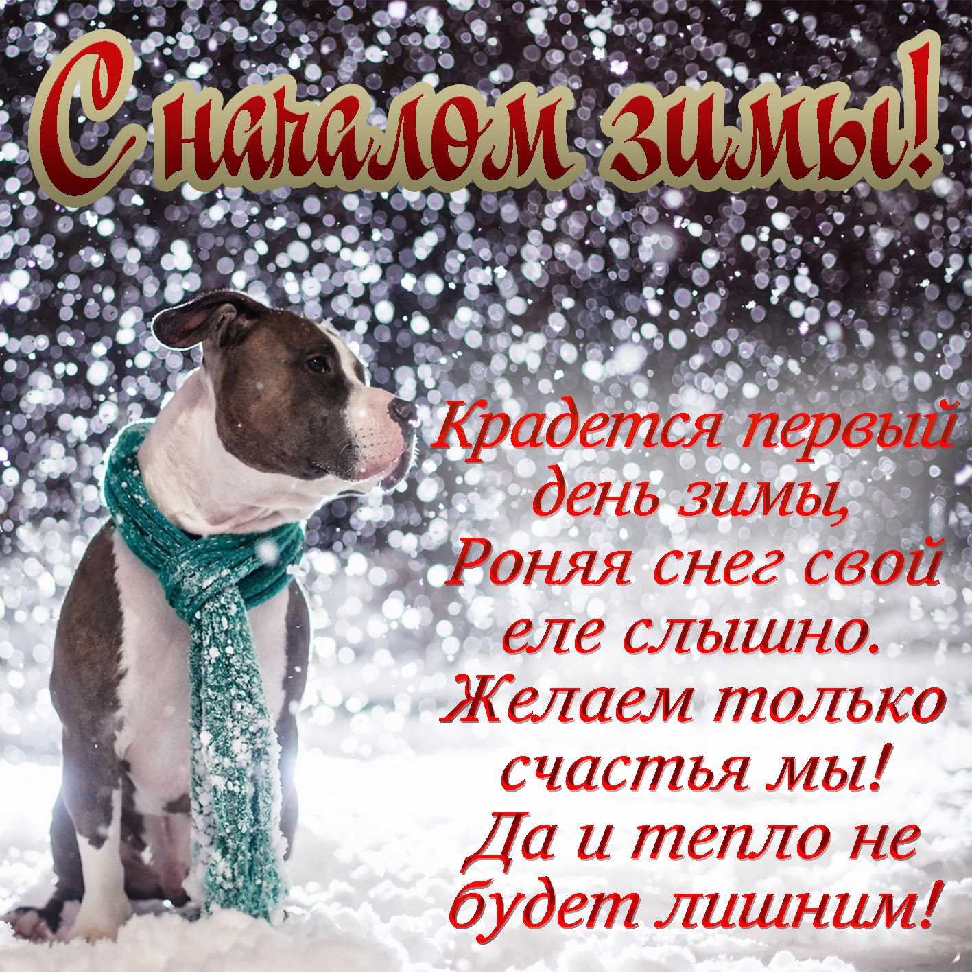 Короткие стихи про зиму