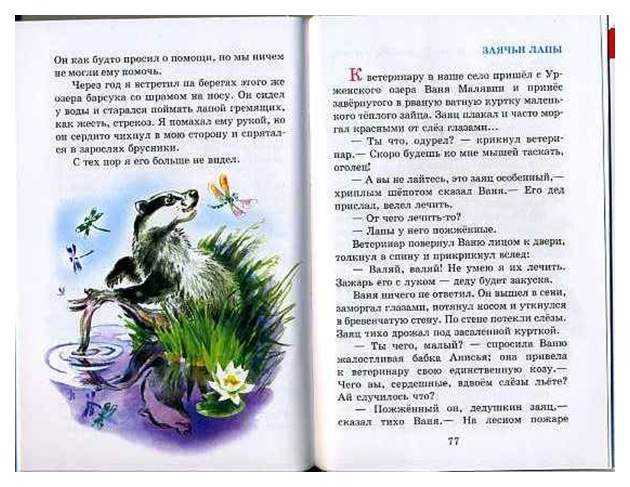 Рассказы о животных паустовского для 3 класса