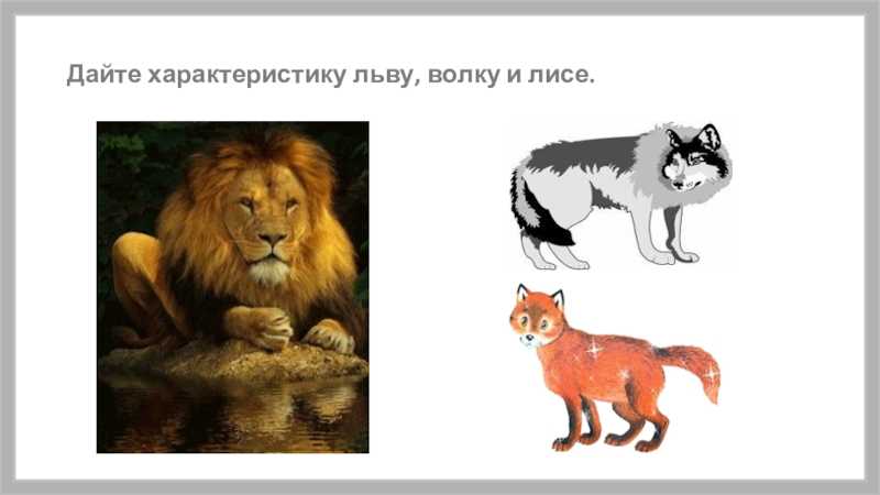 Лев, волк и лисица. басня толстого