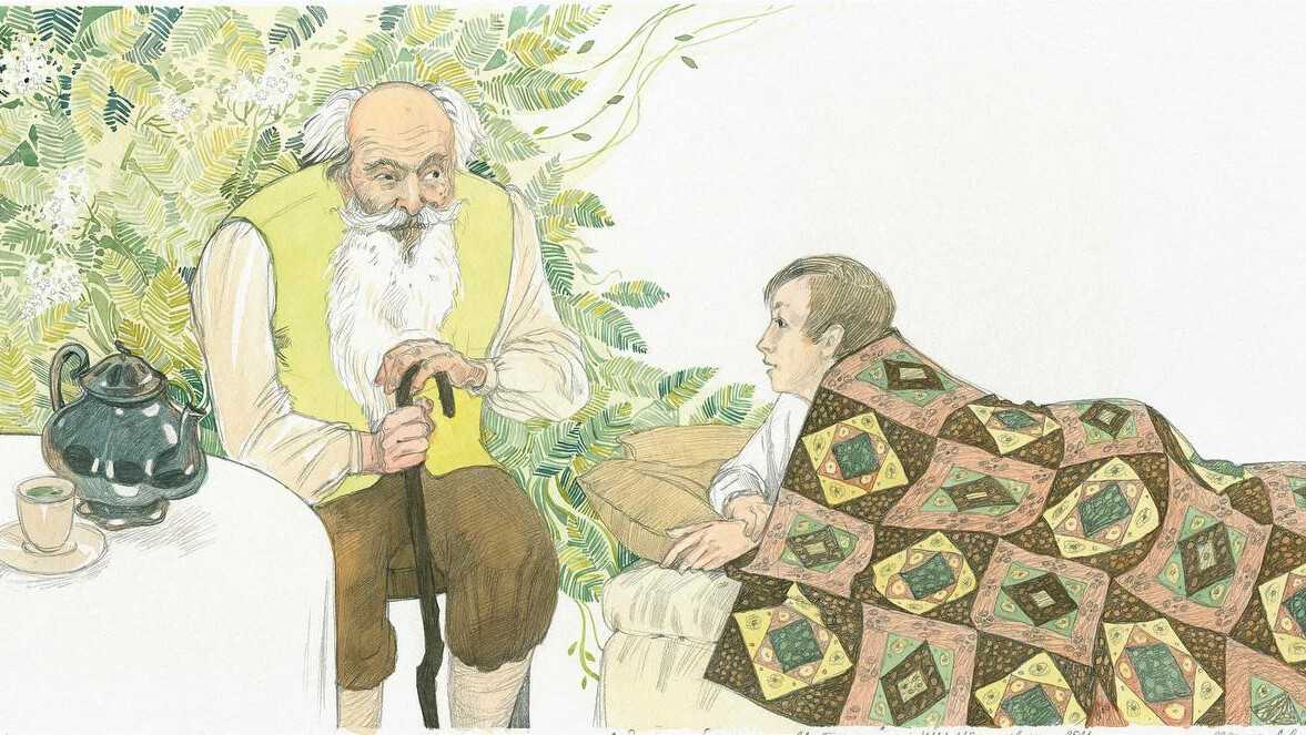 Бузинная матушка - сказки андерсена: читать с картинками, иллюстрациями - сказка dy9.ru