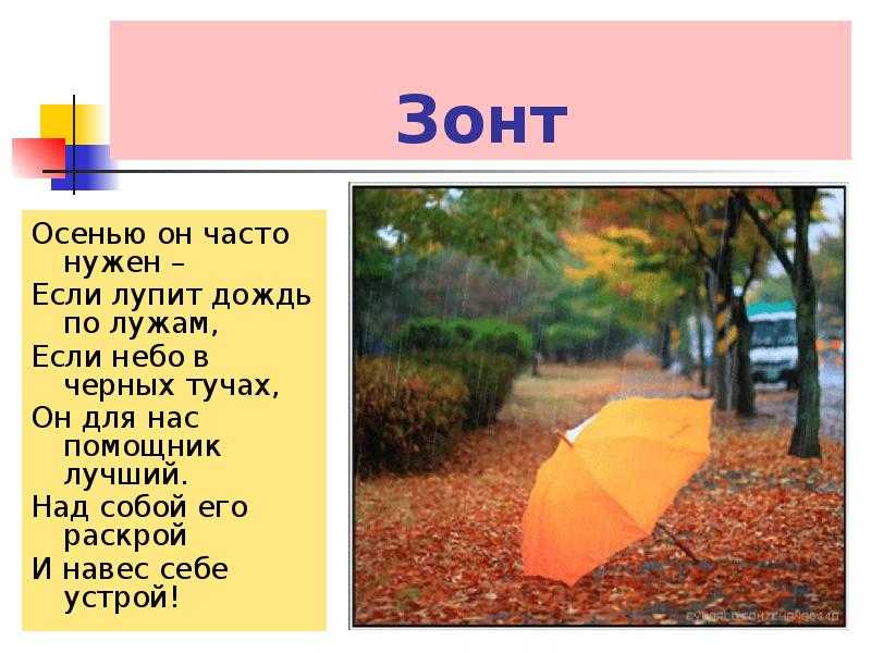 Популярные загадки для детей 5-6 лет с ответами. страница 13550