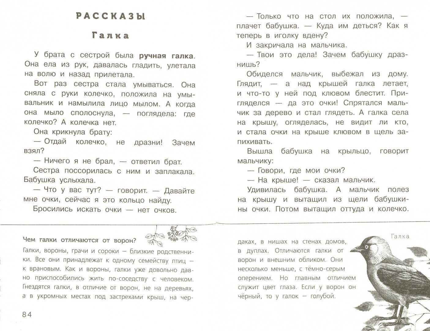 Борис житков ★ галка читать книгу онлайн бесплатно