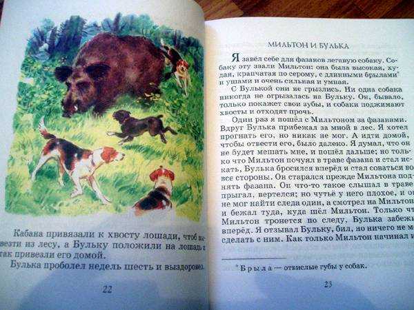 Булька скачать fb2, epub книгу толстого льва николаевича, читать онлайн