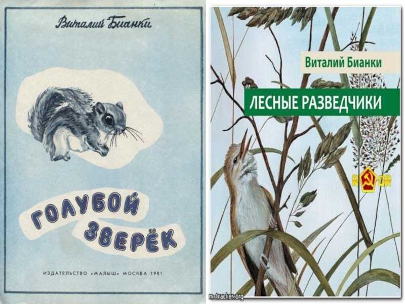 Лесные разведчики — рассказ виталия бианки