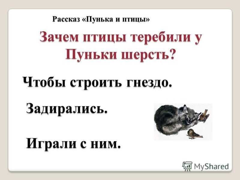 Тюпа, томка и сорока - чарушин е. - пунька и птицы - отечественные писатели