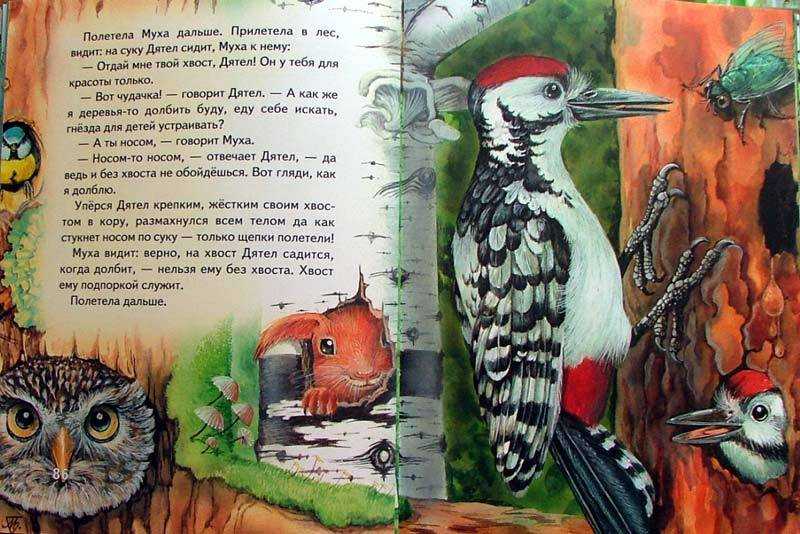 Виталий бианки. сказки онлайн бесплатно