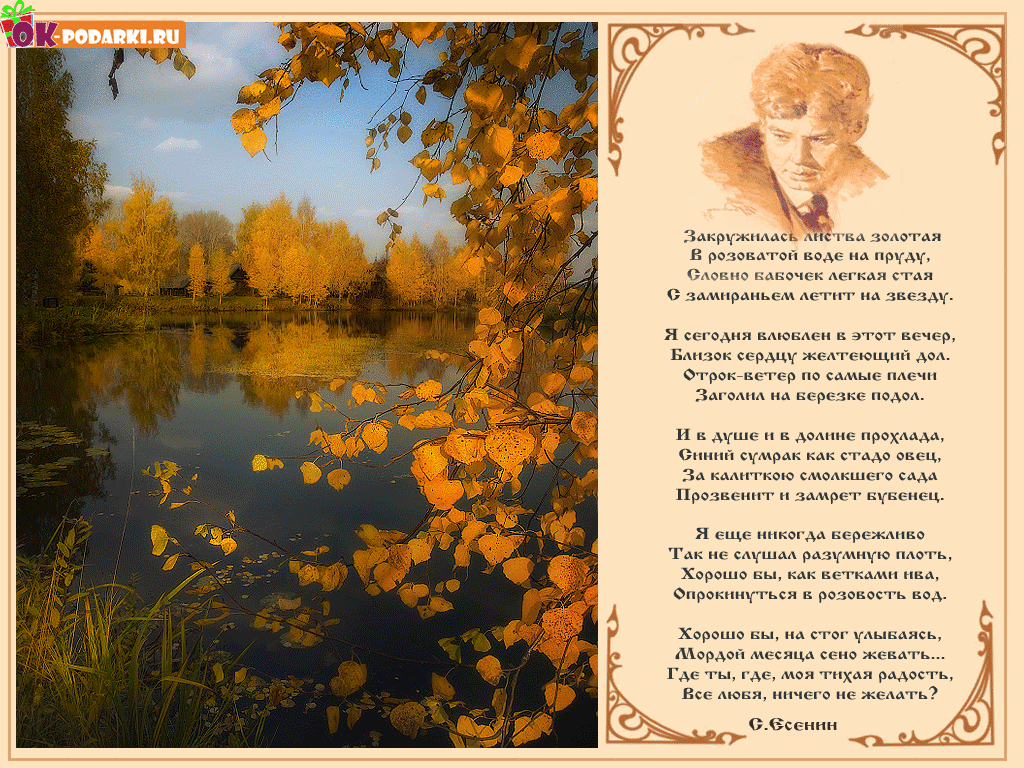 Стихи про осень короткие и красивые – наумёнок