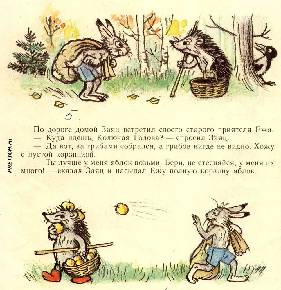 Владимир сутеев: сказки и рассказы