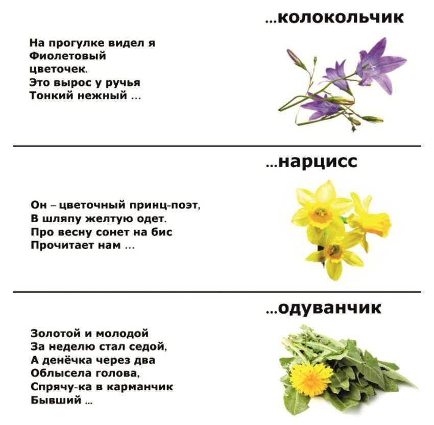 Загадки про цветы для детей с ответами