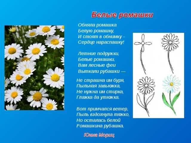 Басни.

		гуо "детский сад г.п. желудок"