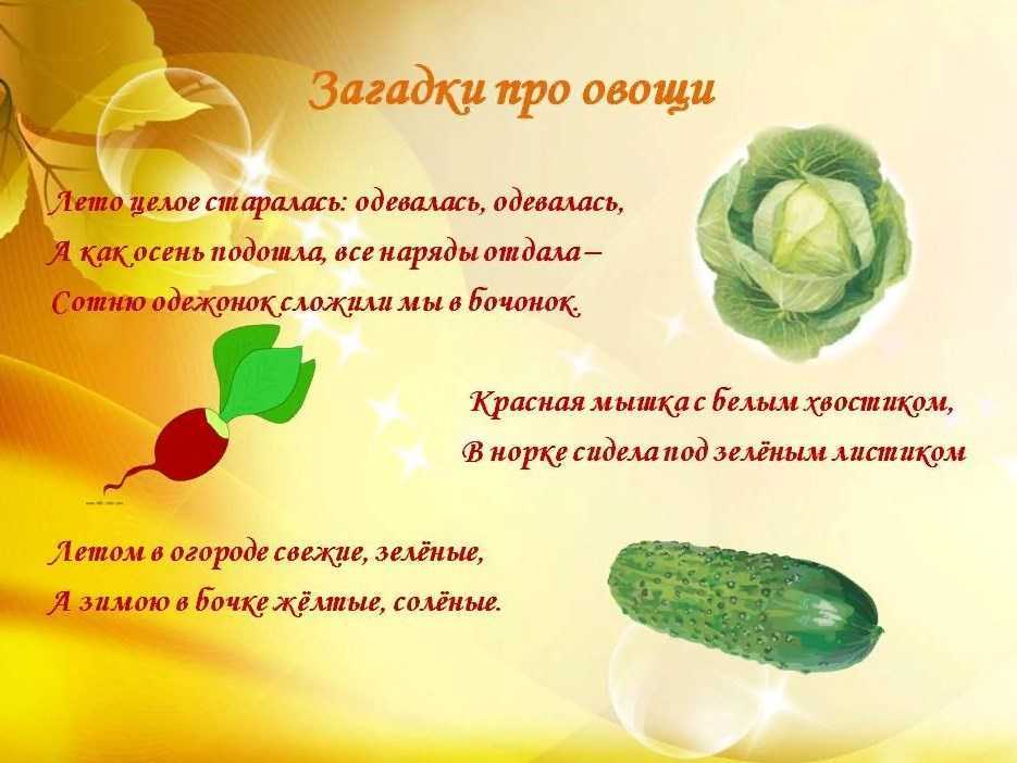 Загадки про картошку для детей 3-4, 4-5, 6-7, 8-9-10 лет с ответами и про картофель фри