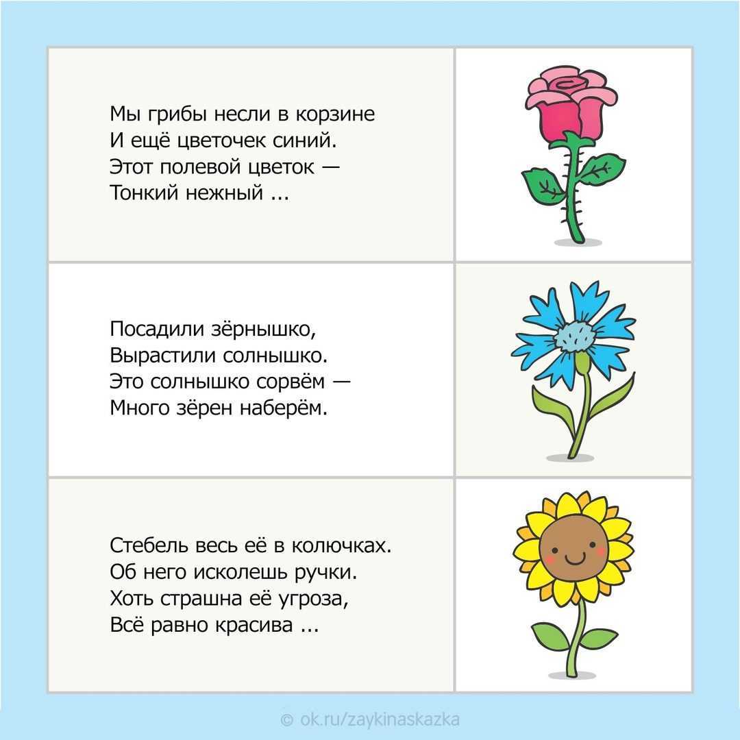 Детские загадки про цветы: комнатные, полевые, луговые и садовые. загадки с ответами про лекарственные травы и растения