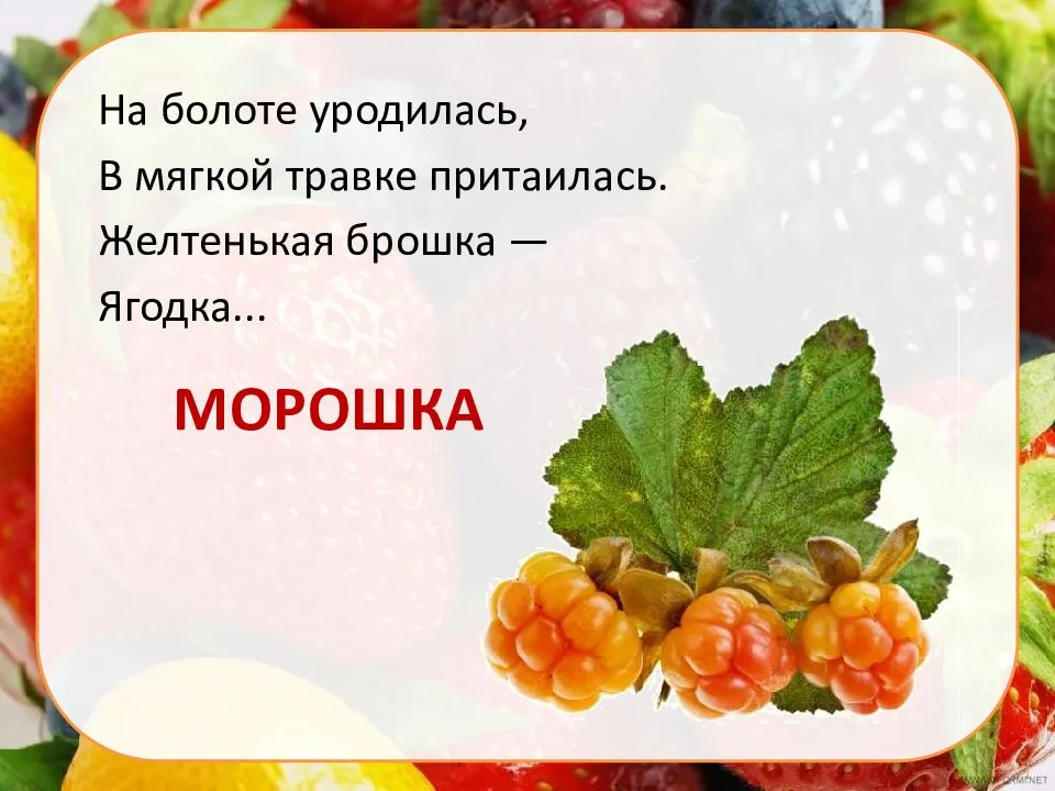 Загадки про ягоды с ответами