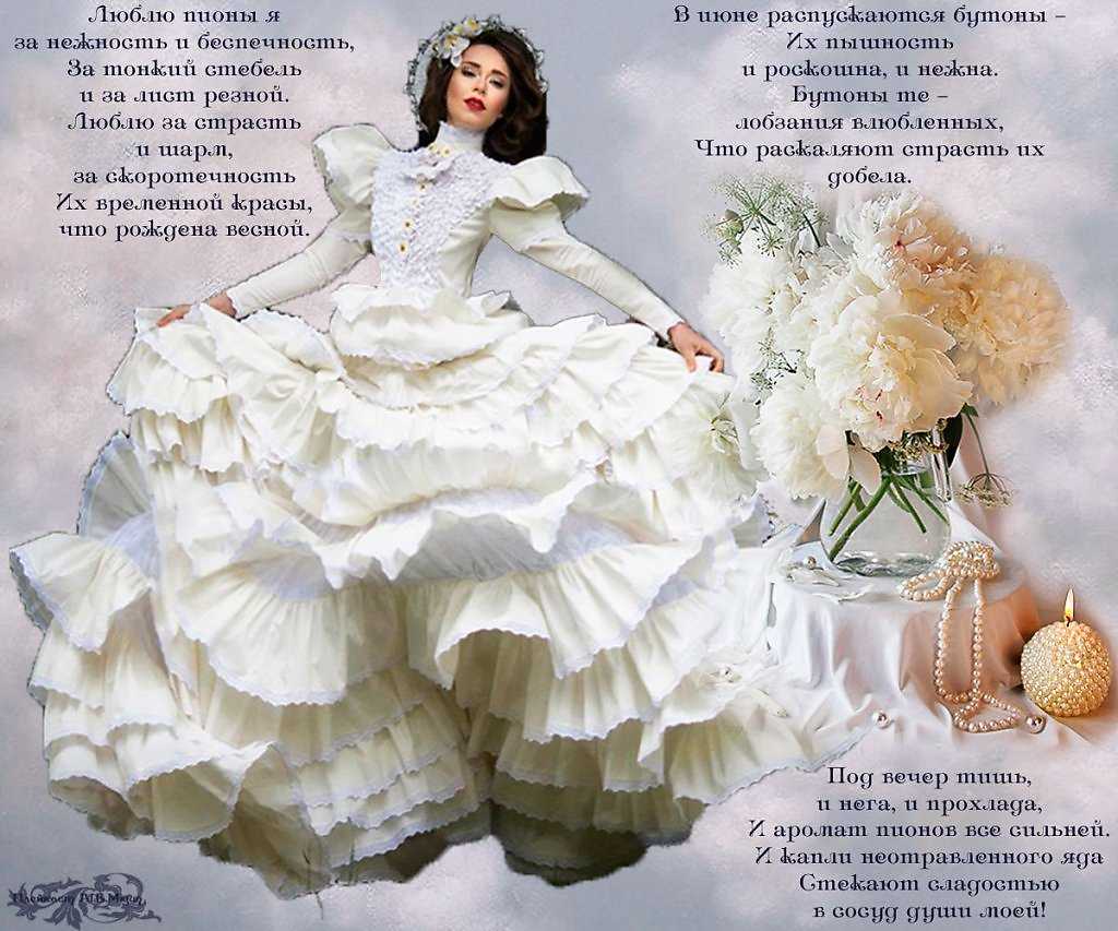 Стихи пионы - сборник красивых стихов в доме солнца