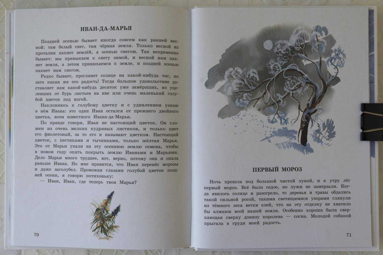 Пришвин «беличья память» читать - справочник педагога