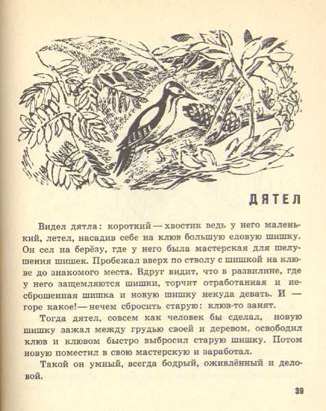 Читать онлайн "лесной хозяин" автора пришвин михаил михайлович - rulit
