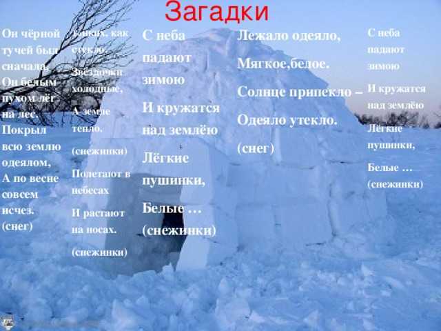 Загадки для детей 5-7 лет с ответами