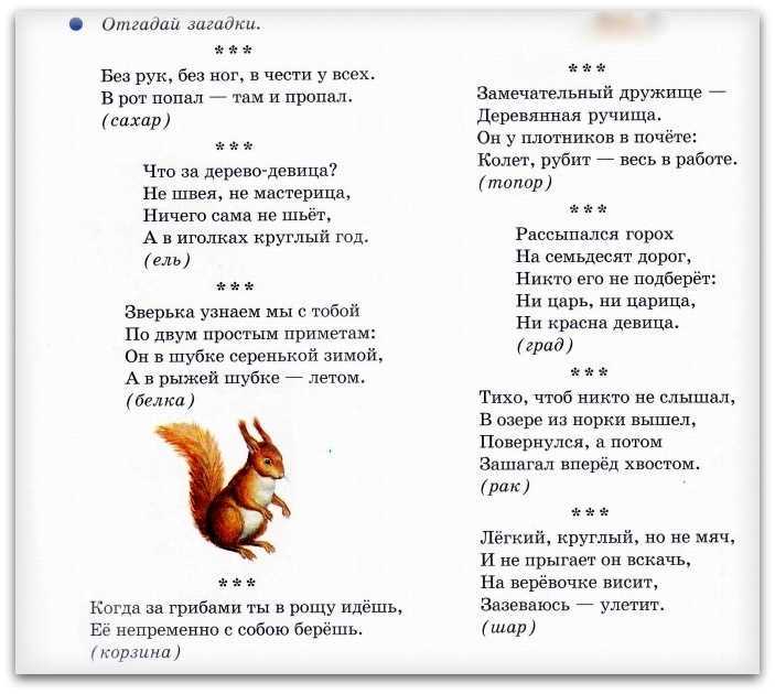 Задания-загадки для проведения квеста на улице